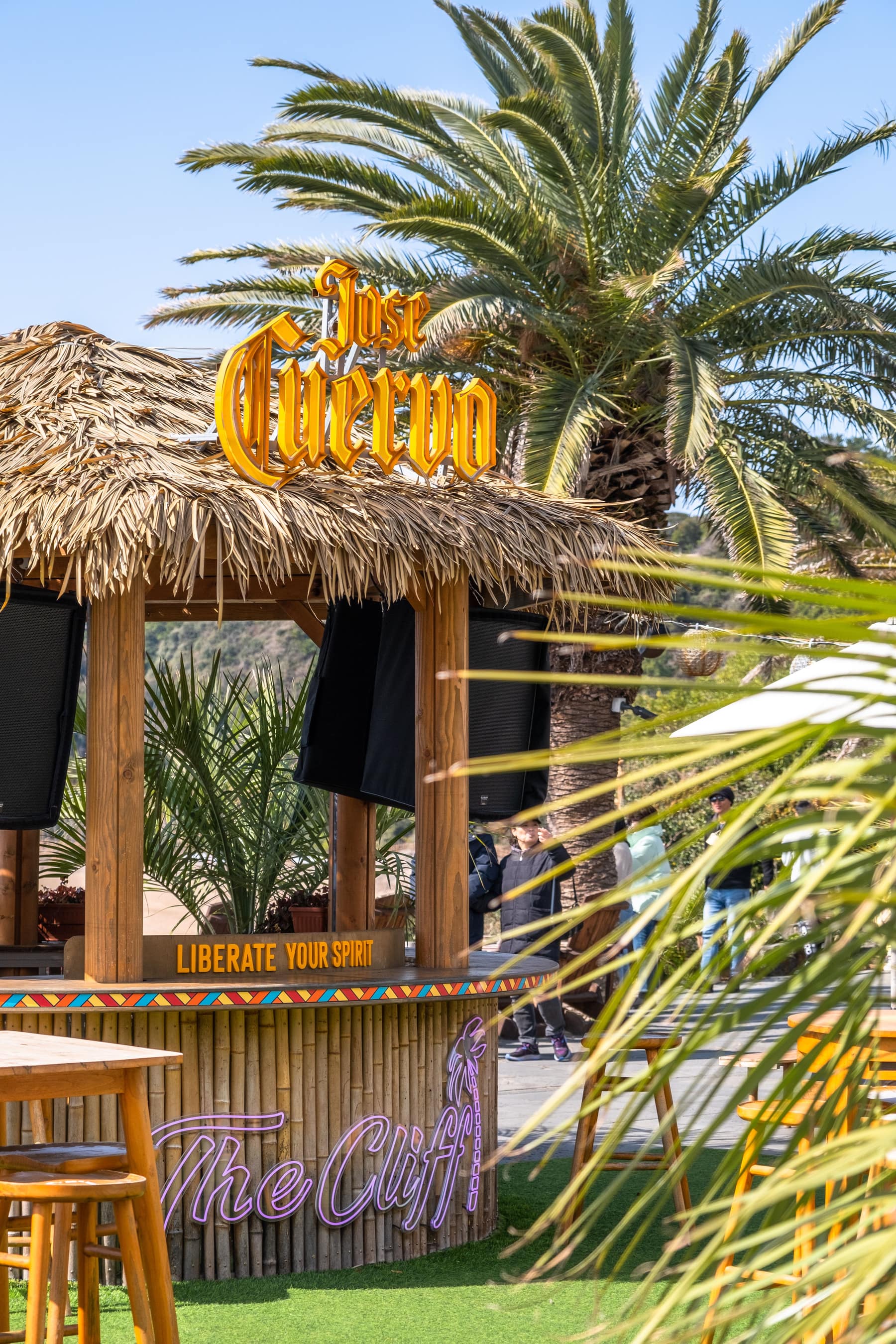 Beach bar with palm trees and vibrant signage at a tropical resort